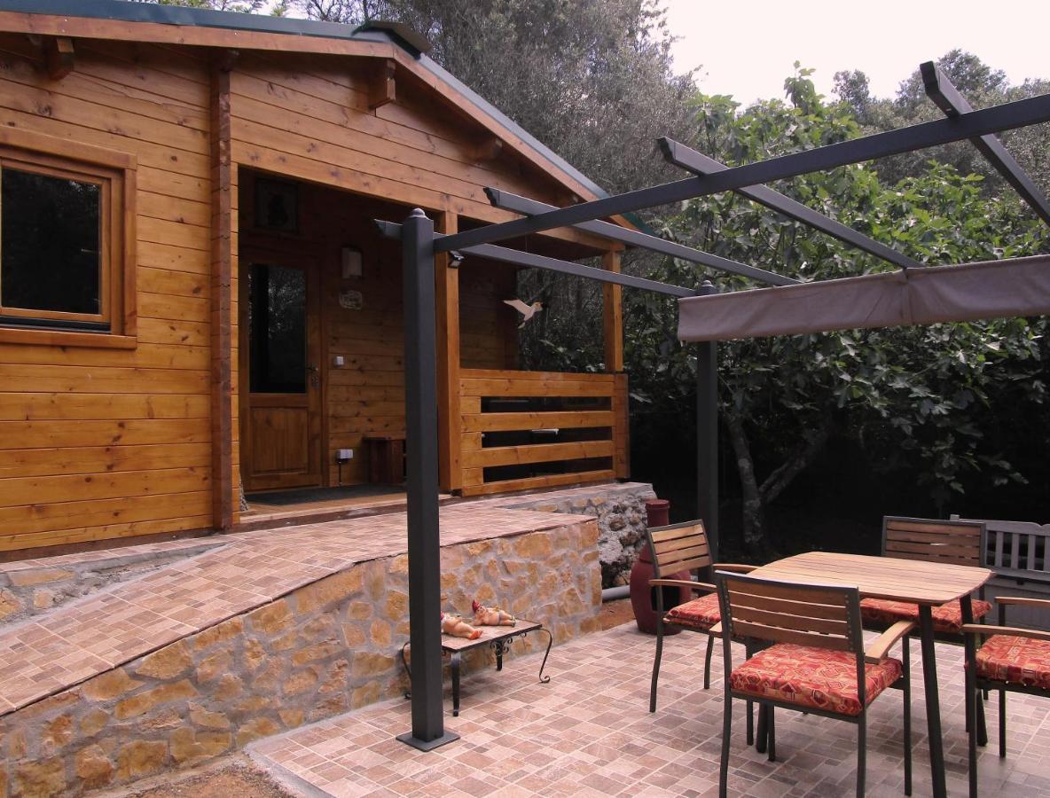 Casa Bruxa Guest house